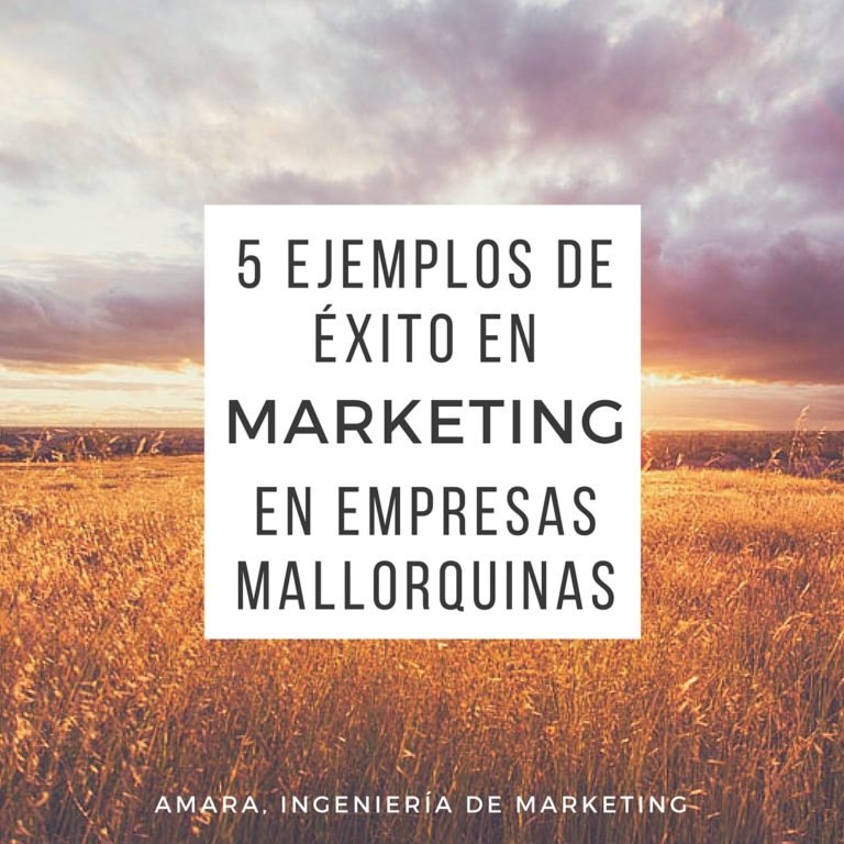 5 casos de éxito de marketing para empresas pequeñas | Amara marketing