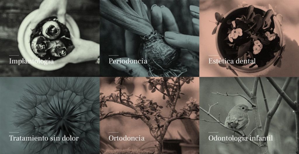 Tratamientos en la clínica dental Pronova