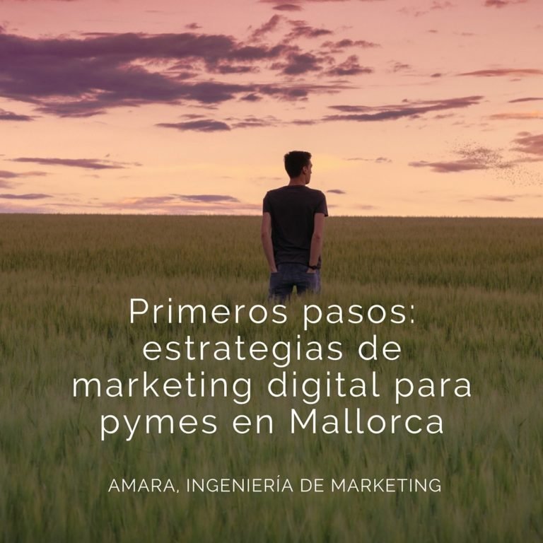 Primeros pasos: el plan de marketing digital para pymes.