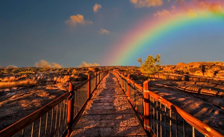 ¿Cómo elegir el color que mejor representa a tu empresa tecnológica?